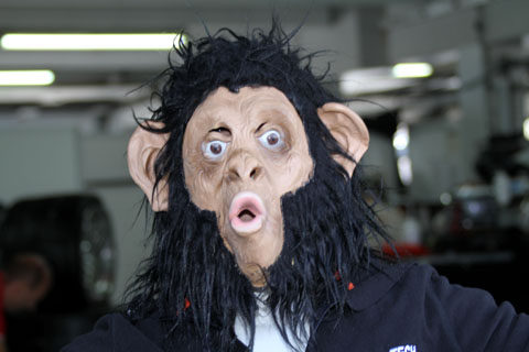 2012_gorilla_1